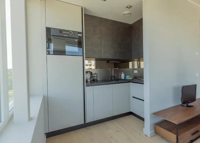 Beautiful Next To The Kalev Stadium 公寓